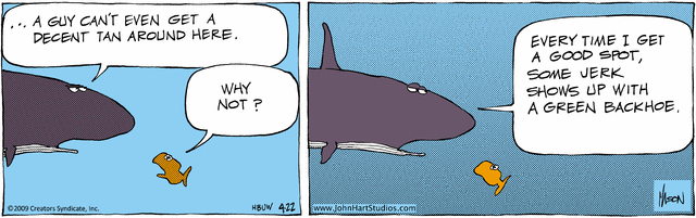 bc